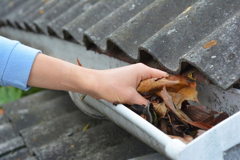 Gutter Cleaning Process
